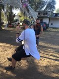 Swinging into Summer