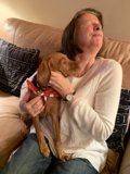 Cozy afternoon with my Vizsla