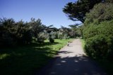 A Tranquil Ride through Golden Gate Park