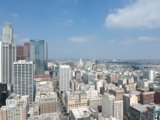 High Rise Metropolis
