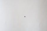 Soaring High