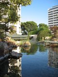 Serene Pond with Central Tree