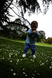Blissful Moments in a Field of Daisies