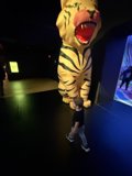 Into the Imagination