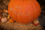 The Adventurous Pumpkin In Big Sur
