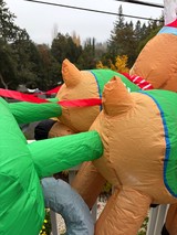 Inflatable Dinosaur Costumes Wrestling at Outdoor Event