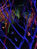 Nightclub fun at Meow Wolf
