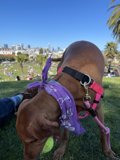 Styling Up the Park