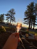 Sunset Sips