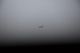 Above the Mist