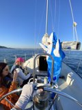 Sailing Through Richardson Bay