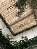 Natural Serenity in the Heart of Architecture