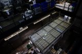 The Heart of Culinary Creations