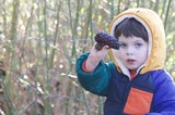 Young Explorer Discovers Pinecone in Winter Forest