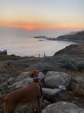 Overlooking the Ocean
