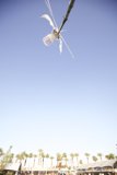 Kite Flying High in the Blue Skies