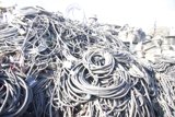 Wired Chaos