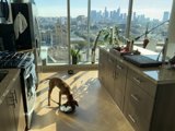 Urban Canine Kitchen View