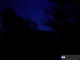 Nighttime Nature