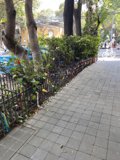 Vibrant Fence