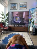 The Ultimate Entertainment Setup