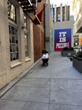 A Day Out in the City