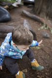 Wesley's Woodland Adventure