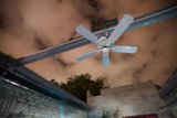 Cool Breeze in the City