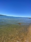 A Refreshing Sea Dip