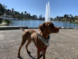 Fountain Fun
