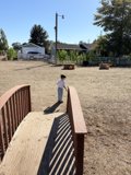 Autumn Stroll in Santa Rosa