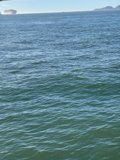 Serenity on San Francisco Bay