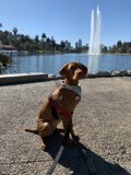 Playtime at the Fountain