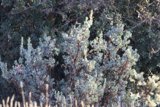 Winter's Embrace at Firefall Ranch
