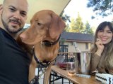 An Evening with Friends and Furry Companions