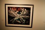 Artistic Arms