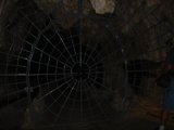 Web of Intrigue
