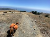 Backpacking with my canine friend