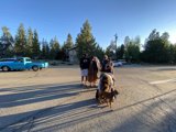 Street Gathering at Lake Tahoe
