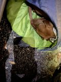 Cozy Camping Companion