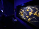 Wonder at The Aquarium