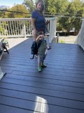 Sunny Steps of August
