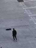Parking Lot Skater