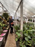 Rhoda B's Garden Walk