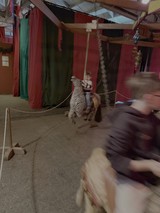 Circus Performance with Tiger and Trainer