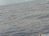 Majestic Meeting Between Whale and Boat