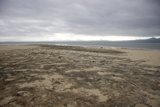Cloudy Day at the Beach
