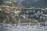 A Bustling Harbor Town