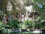 Jungle Adventures
