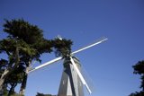 Power of Nature at Golden Gate Park, 2024